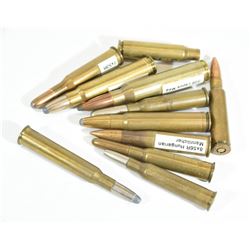 Collectible Ammo