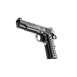 SIG 1911 45ACP 5" WE THE PEOPLE
