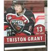 Image 2 : Vinyl Stadium Banner #13 Tristan Grant
