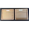 Image 4 : Pair of Gold Framed Pictures