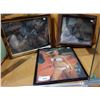 Image 1 : THREE FRAMED PICTURES