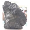 Image 2 : MARINE FOSSIL FOUND 1500 FEET ABOVE SEA LEVEL