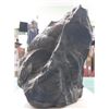 Image 3 : MARINE FOSSIL FOUND 1500 FEET ABOVE SEA LEVEL