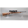Image 1 : Ruger 10/22 Rifle 22LR