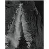 Image 1 :  Ansel Adams Yosemite Falls and Forest Detail Win