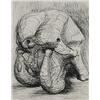 Image 1 :  Henry Moore Elephant Skull XXIII USA, 1970 etchi