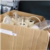 Image 1 : BOX OF METAL WATERING CANS