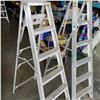 Image 2 : 2 ALUMINUM 5FT LADDERS