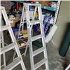 Image 3 : 2 ALUMINUM 5FT LADDERS