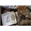 Image 3 : BOX OF FOSSILS, CRYSTALS, AND SEMI PRECIOUS STONES