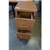 Image 2 : 2 DRAWER OAK FILE CABINET