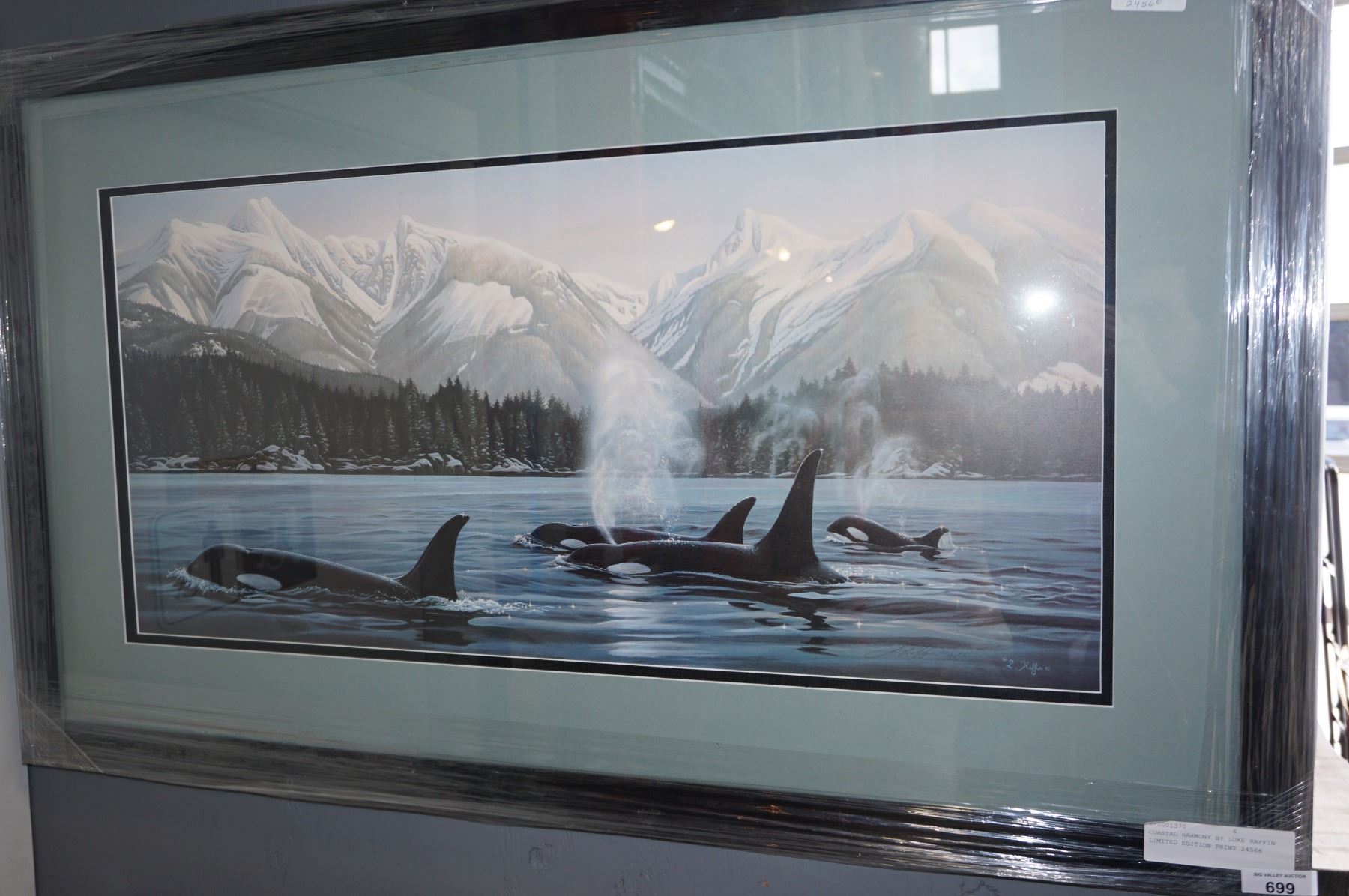 COASTAL HARMONY BY LUKE RAFFIN LIMITED EDITION PRINT 24566