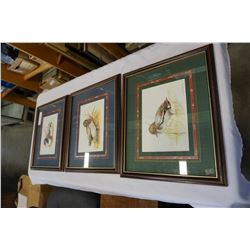 3 DUCK PRINTS
