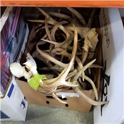 BOX OF ANTLERS