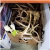 Image 1 : BOX OF ANTLERS