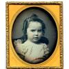 Image 1 : 1/4 Daguerreotype by Root  BURSTING WITH LIFE.