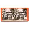 Image 1 : Stereoview   Music Day in the Park.