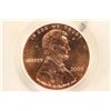 Image 2 : 2009 EARLY CHILDHOOD LINCOLN CENT PCGS BU