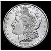 Image 2 : **Auction Highlight** 1886-o Nice Breast Feathers . Morgan Dollar $1 Graded Select Unc By USCG (fc)
