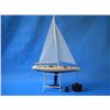 Image 14 : Ready To Run Remote Control Enterprise 30" Limited