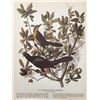 Image 2 : c1946 Audubon Print, #187 Boat-Tailed Grackle