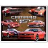 Image 1 : Camaro 45th Anniv.