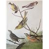 Image 1 : c1946 Audubon Print, #400 Finches & Tanager