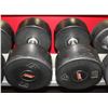 Image 1 : PAIR OF 75LB DUMBELLS