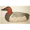 Image 1 : SAM BARNES HAVRE DE GRACE, MARYLAND CANVASBACK DE
