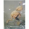Image 2 : FLAMINGO PRINT IN GILTWOOD FRAME
