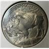 Image 2 : 1913 BUFFALO NICKEL