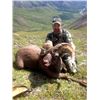 Kamchatka Snow Sheep Hunt, Russia