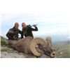 Image 2 : Kamchatka Snow Sheep Hunt, Russia