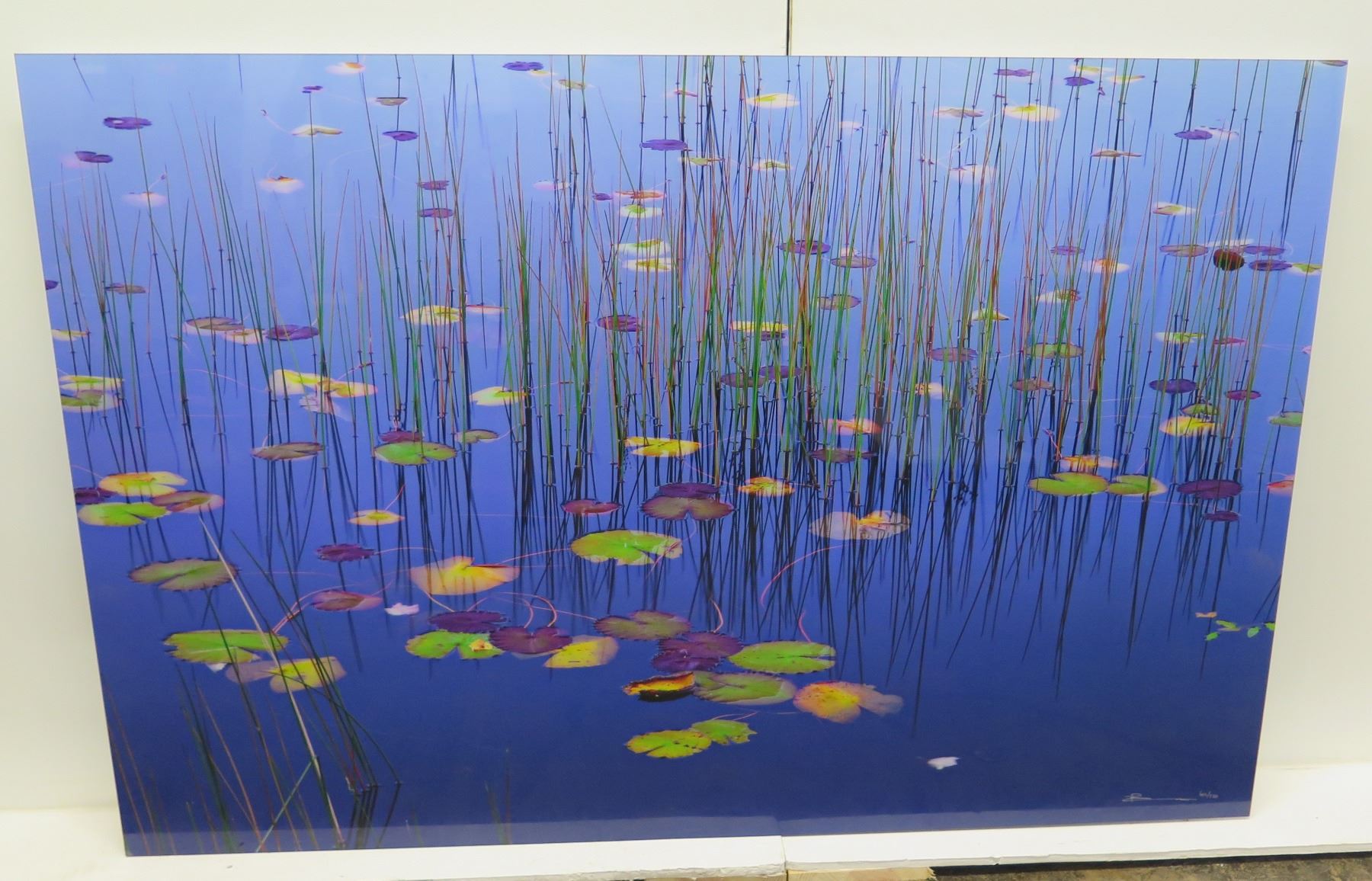 Peter Li Artist 'Lilies of the Pond' by Peter Lik – Limited Edition (302 of 950), 1.5 ...