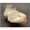Image 3 : PUEBLO INDIAN IVORY/SHELL FETISH
