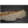 Image 7 : PUEBLO INDIAN IVORY/SHELL FETISH