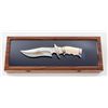 Image 1 : Rare Buck Knives 20-Year Service Award Custom Subhilt Bowie Knife