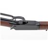 Image 5 : Consec. Pair of Winchester 9422  9422M Lever Action Rifles