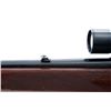 Image 5 : Pre-64 Winchester Model 100 Semi-Auto Rifle