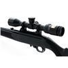 Image 5 : Ruger 10/22 Semi-Automatic Carbine, w/Nikon scope