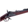Image 3 : Springfield M.1879 Indian Wars Trapdoor Infantry Rifle