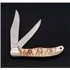 Image 1 : Buck 317 Trailblazer with Tiger Coral Handles