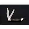 Image 3 : Buck 317 Trailblazer w/Jigged Water Buffalo Handle