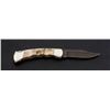 Image 4 : Custom Buck Model 110 Folding Knife