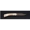 Image 5 : Scarce Damascus Buck 110 Folding Knife