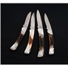 Image 2 : Lot of 4 Stag-Handled Buck Knives