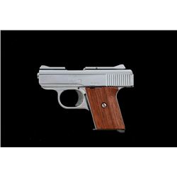 Raven Arms Model MP-25 Semi-Automatic Pistol