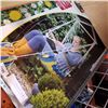 Image 2 : LIFETIME GARDEN HANGING CHAIR