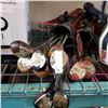 Image 1 : VINTAGE GOLF CLUBS AND BAGS