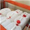 Image 2 : LOT OF PLASTIC JUGS